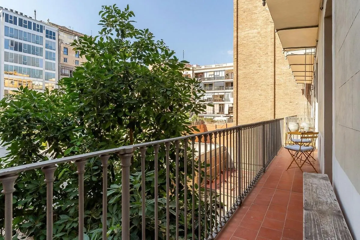 Canela Homes Midterm Elegance Barcelona Spain