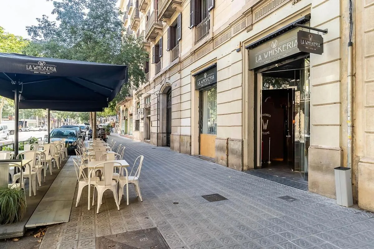 Canela Homes Midterm Elegance Barcelona Appartement